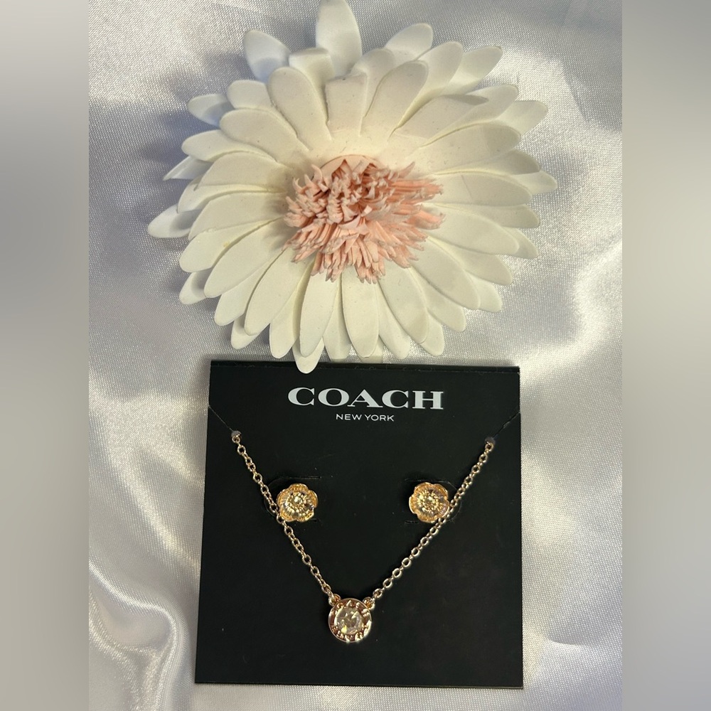 Coach Gold Necklace and Earring Set